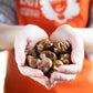 Date Lady Organic Barhi Dates | Vegan, Paleo, Gluten-free & Kosher (3 Bags) No Sugar Added
