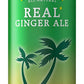 Reeds Real Ginger Ale - Pressed Organic Ginger - 12oz Slim Cans, 24 Pack