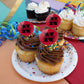 Northwestern Oklahoma State Secondary Cupcake Picks Toppers Decoration Set Of 6
