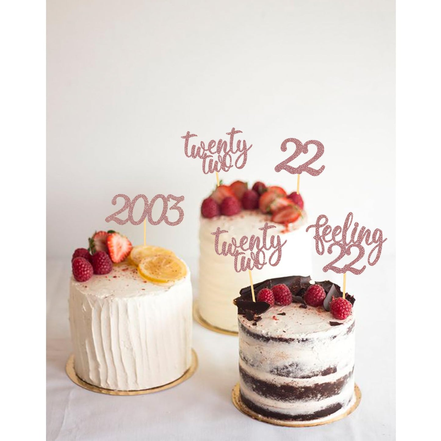 24Pcs Feeling 22 Cupcake Toppers, Twenty Two Birthday Cake Decorations, Cheer To 22 Years Old Theme Party Decoration Supplies (R