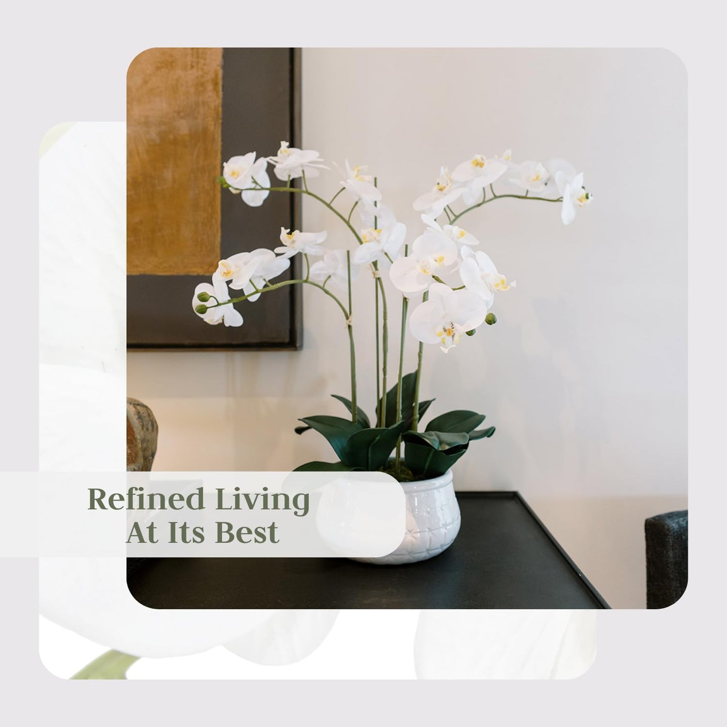 Cg Hunter Faux White Orchid Plant, Premium Artificial Indoor Flower Display Stands 23   , Beautiful Sculptural Blooms That Lasts