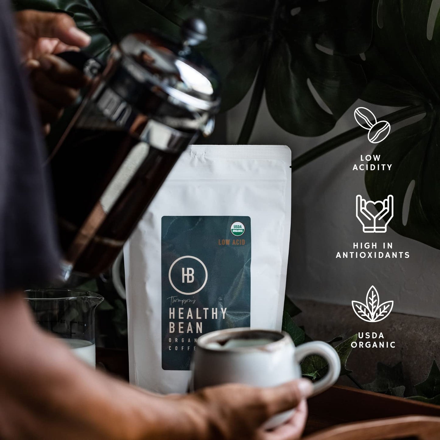 Healthy Bean Coffee Thrive Morning Blend - Organic Ground Coffee Medium Roast - Low Acid Coffee Grounds, Smooth, Rich Flavor, Cl
