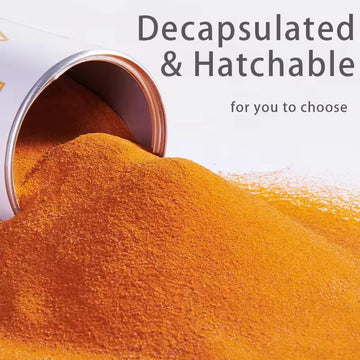 MorexLab Decapsulated Brine Shrimp Eggs - High Protein Fish Food - 4.93 OZ (140g) - 100% Natural Artemia Nauplii