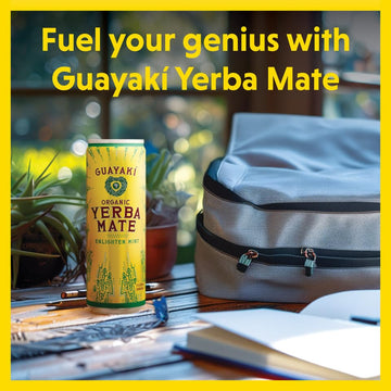 Guayakí Yerba Mate Organic Energy Drink, Enlighten Mint, 150mg Caffeine, 15.5 Oz (Pack of 12), Green