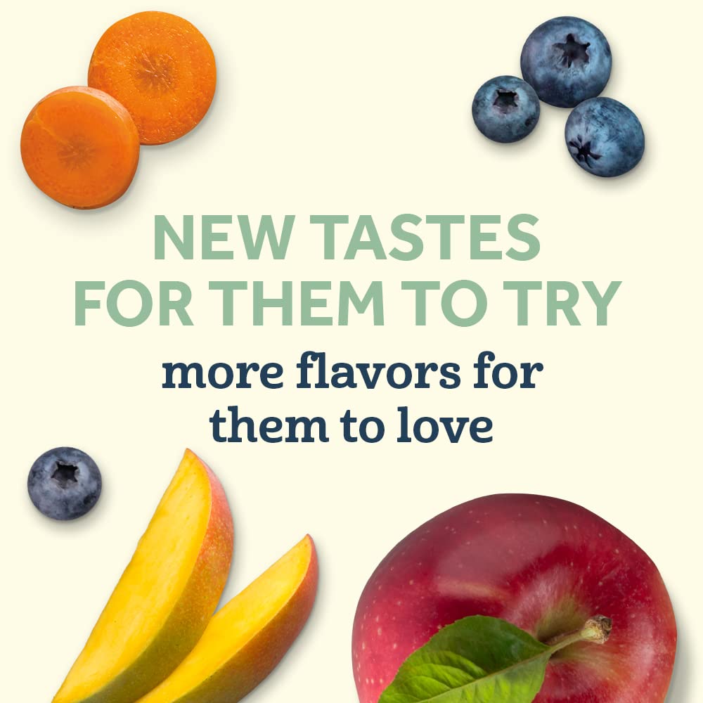 Gerber Organic Baby Food Pouches, Toddler, Apple Mango Raspberry Avocado & Oatmeal, 3.5 Ounce (Pack Of 12)