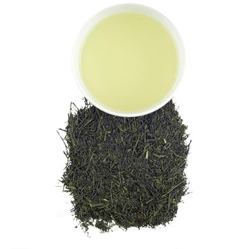Harney & Sons Organic Sencha Tea| 16oz Bag of Loose Leaf Tea