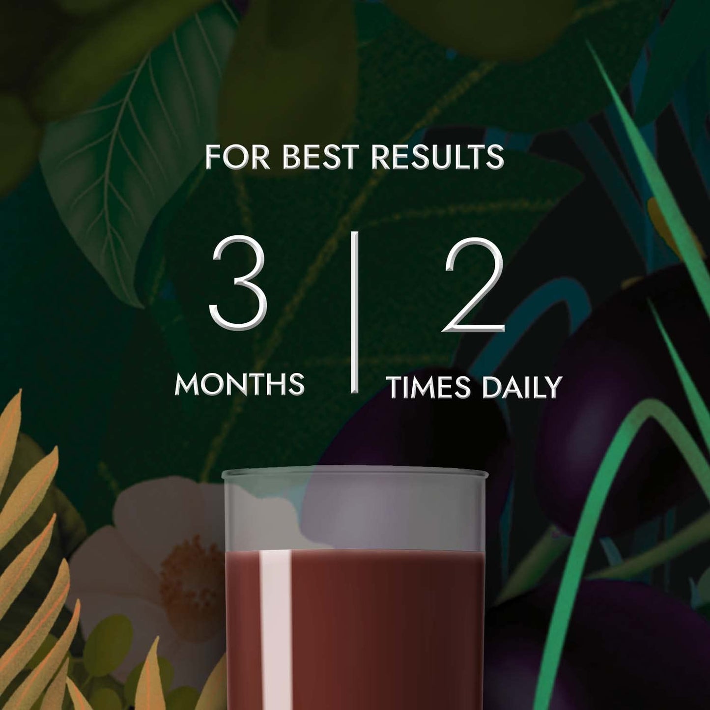 Kapiva Cholesterol Support dietary product