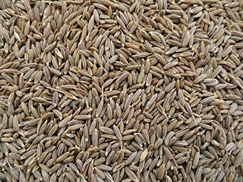 Yuvika Jeera Safed - Cuminum Cyminum - White Cumin Seeds (900 Grams)
