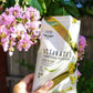 Living Intentions Organic Superfood Popcorn - Salsa Verde - Nongmo - Gluten Free - Vegan - 4 Ounce Unit