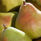 A Gift Inside Fruitful Trio Deluxe Fruit Gift