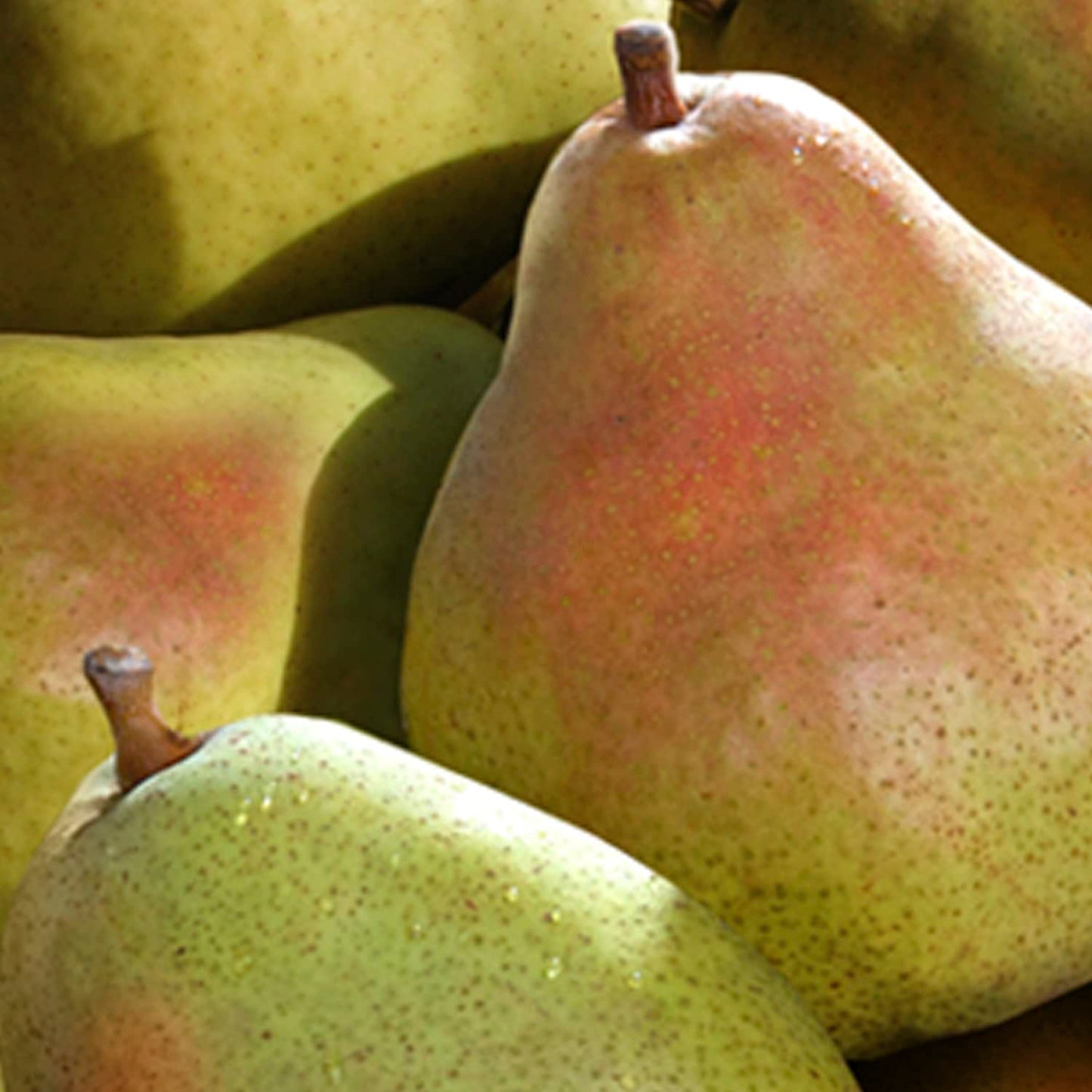 A Gift Inside Fruitful Trio Deluxe Fruit Gift