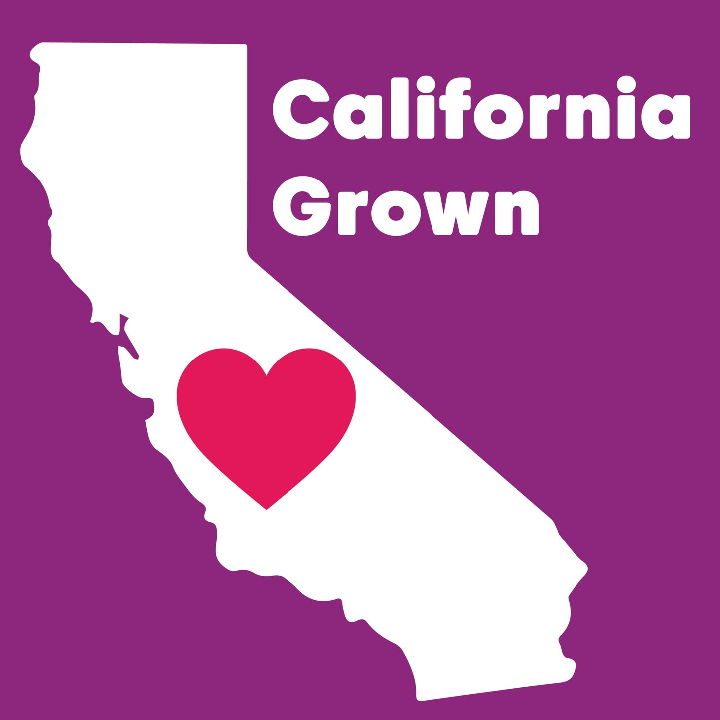 Wilderness Poets, Organic Pistachios - Bright Green Pistachio Nut Halves, No Salt, Grown in California (2 Pound)