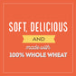 Natures Own 100% Whole Wheat  Whole Wheat Bread  20 oz Loaf