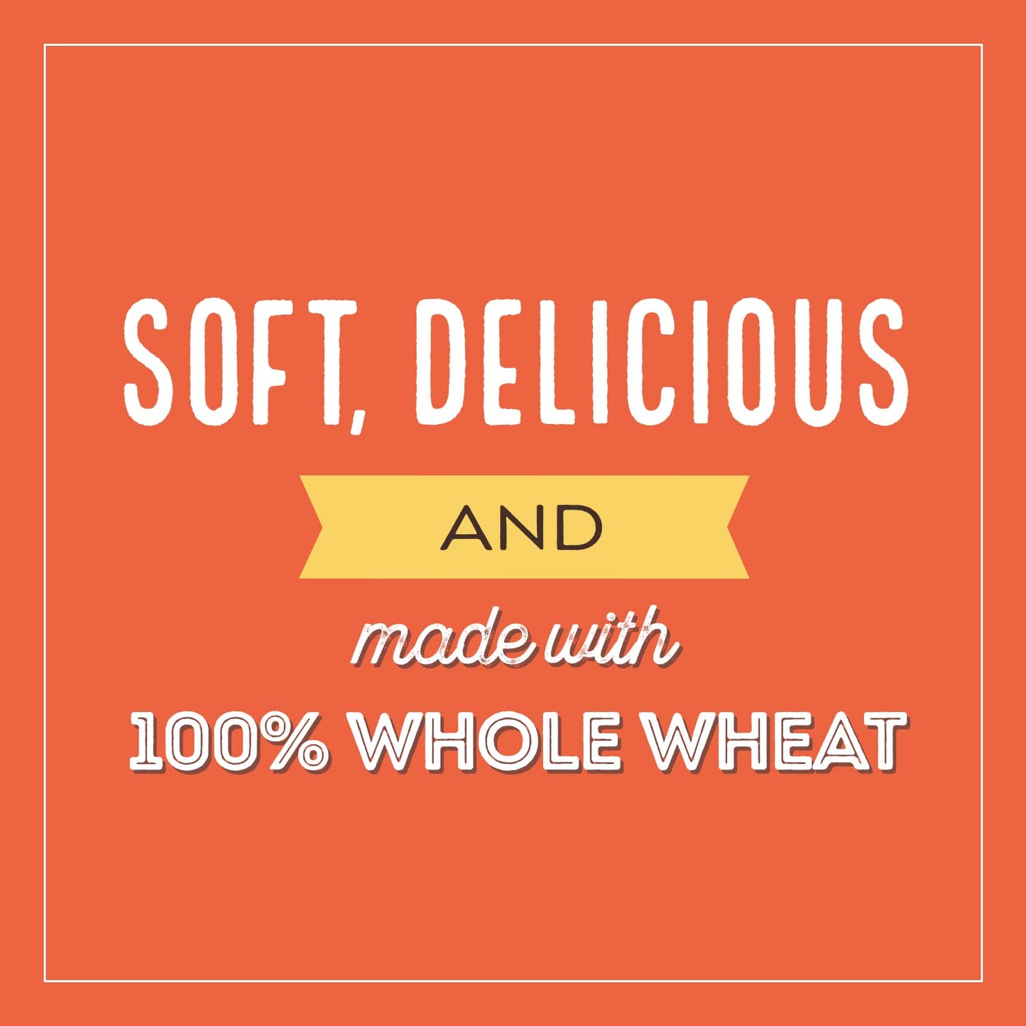 Natures Own 100% Whole Wheat  Whole Wheat Bread  20 oz Loaf