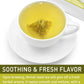 Olvvla Premium Fennel Tea Bags - 4g x 50 Count - 100% Pure Natural - Non-GMO - Caffeine-Free - Supports Digestion