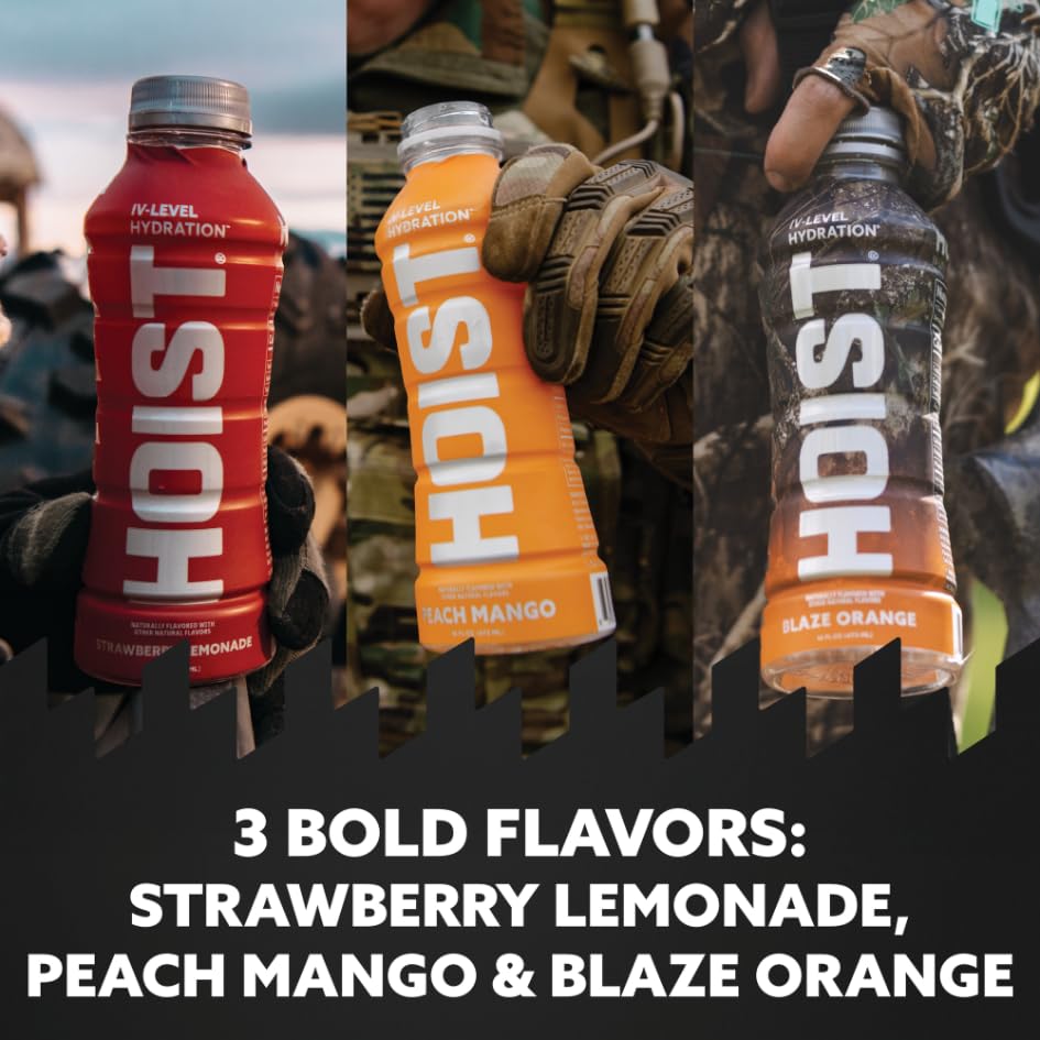HOIST Premium Hydration Electrolyte Drink, Variety Pack, 16 Fl Oz (Pack of 12)