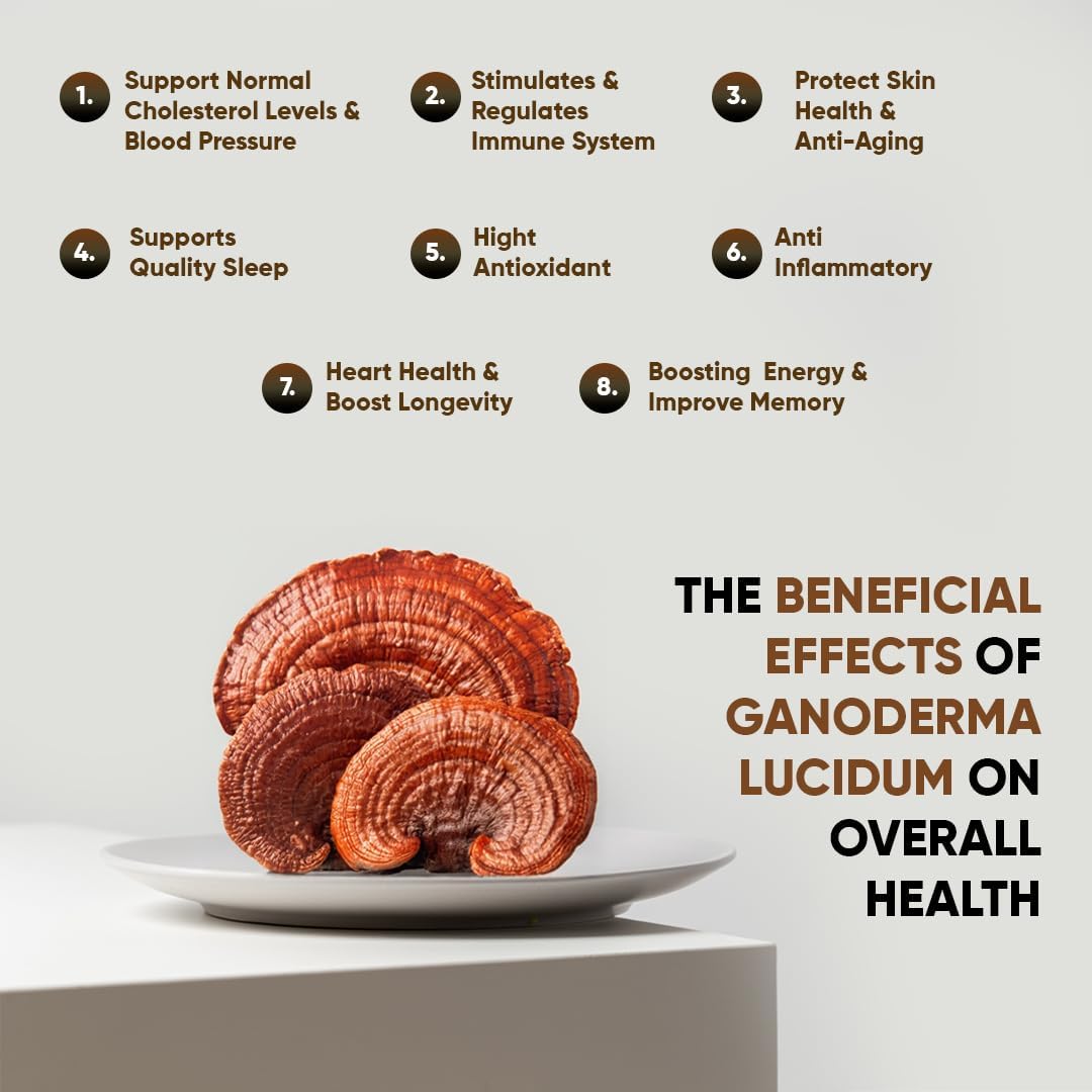 NUGANO Gourmet Instant Coffee with 100% Certified Ganoderma Extract, 30 Servings, 3 Box