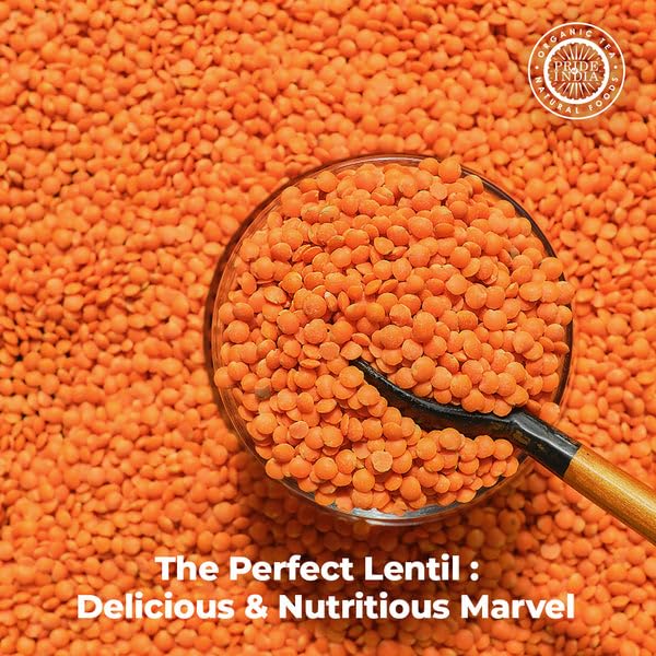 Pride Of India - Pack Of 6 - Indian Split Masur Red Lentils - Protein & Fiber Rich Masoor Dal, 3 Pound Jar