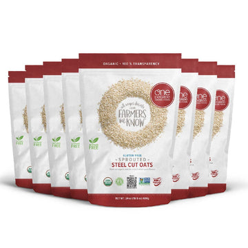 One Degree Organic Foods Sprouted Steel Cut Oats, USDA Organic, Non-GMO Gluten Free Oatmeal, 24 oz., 8 Pack