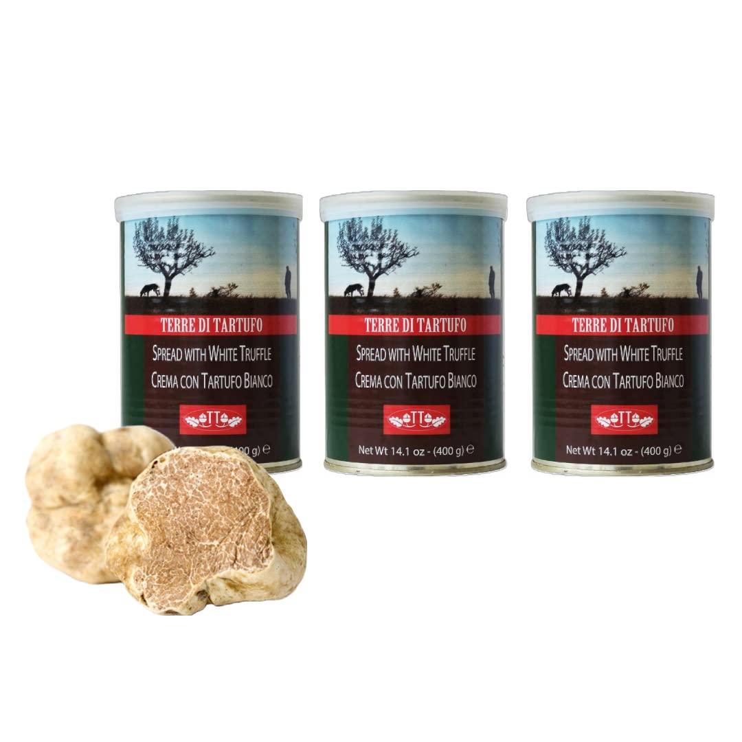 Terre di Tartufo White Truffle Sauce | Gourmet Spread with White Truffle | Crema con Tartufo Bianco | 14.1oz (400g) (Pack of 3)