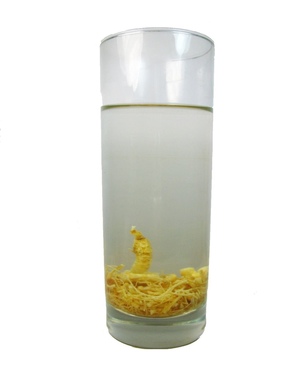 Genuine Wisconsin Ginseng Tea, A Refreshing Favourite Beverage For Athletes -1 Lb Bag