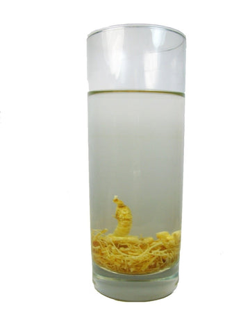 Genuine Wisconsin Ginseng Tea, A Refreshing Favourite Beverage For Athletes -1 Lb Bag