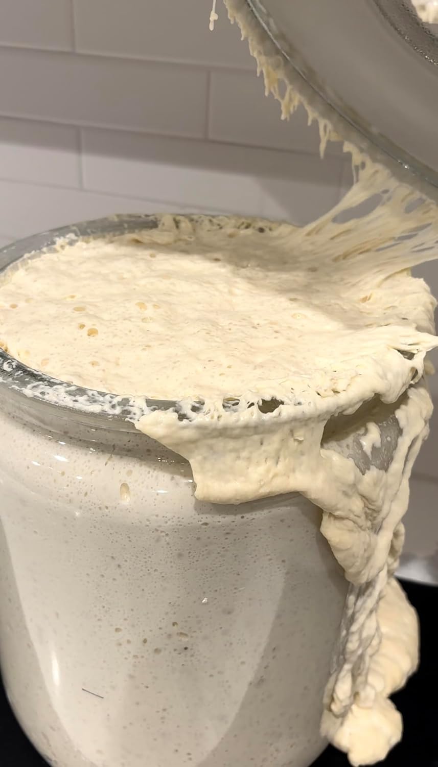 Dehydrated Sourdough Starter by Made With Loave | INCLUDES Recipe | Beginner Friendly | As Seen On TikTok | 10g