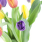Kabloom Flowers -Valentine'S Day Collection - 10 Assorted Tulips Without Vase, Gift For Birthday, Sympathy, Anniversary, Get Wel