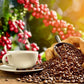 Lion Coffee Vanilla Macadamia Flavored Ground Coffee, Light Roast, 10 Ounce Bag