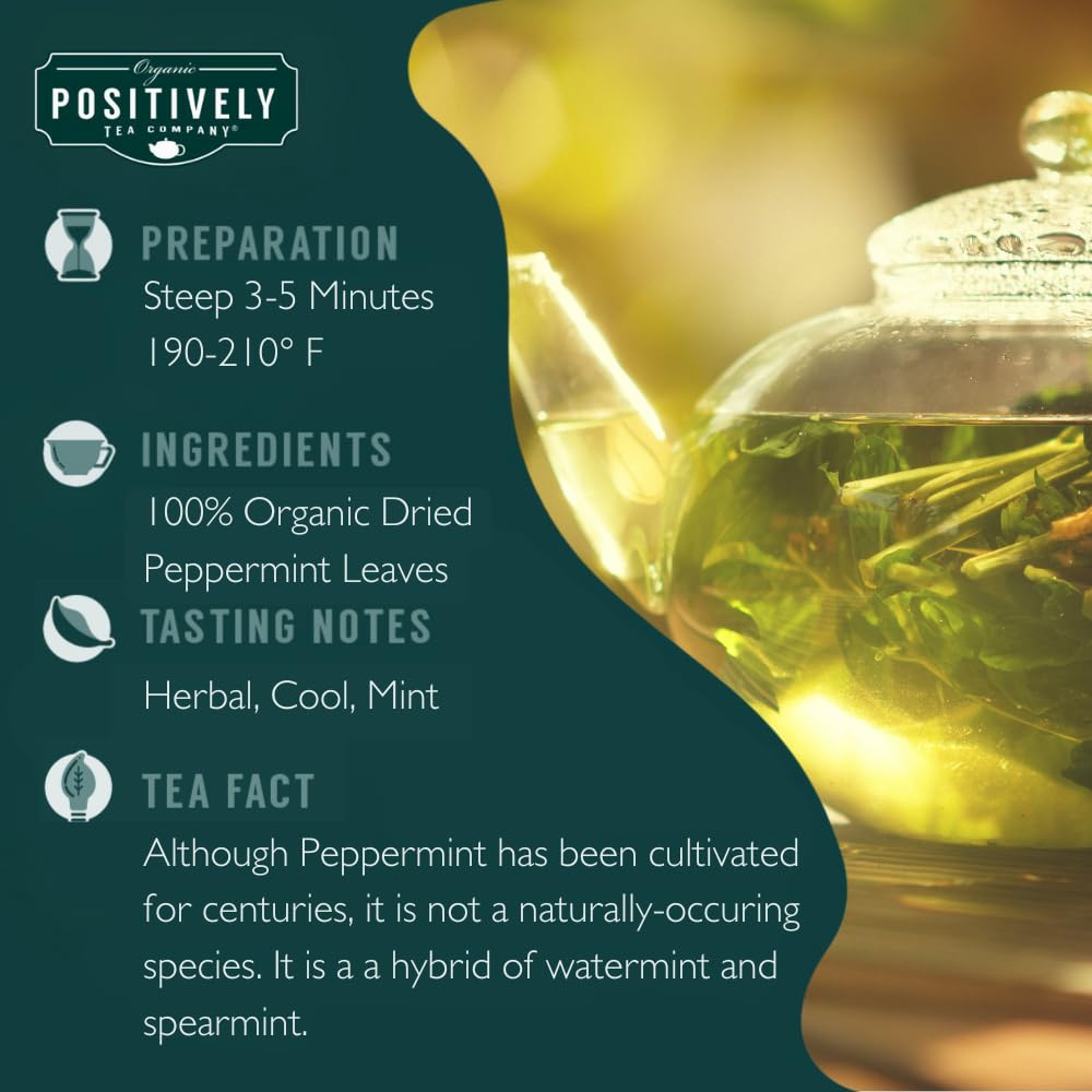Organic Positively Tea Company, Peppermint Leaf Herbal Tea Bags, 100 Count, Eco-Friendly Tea Bags, Non-Gmo