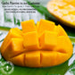 GERBS Dried Mango Cubes - Lightly Sweetened, Unsulfured, 4 lbs, Resealable Bag, Naturally Sweet & Chewy, Allergen-Free