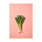 Row 7 Organic Sweet Garleek Bunch, 1 Ea