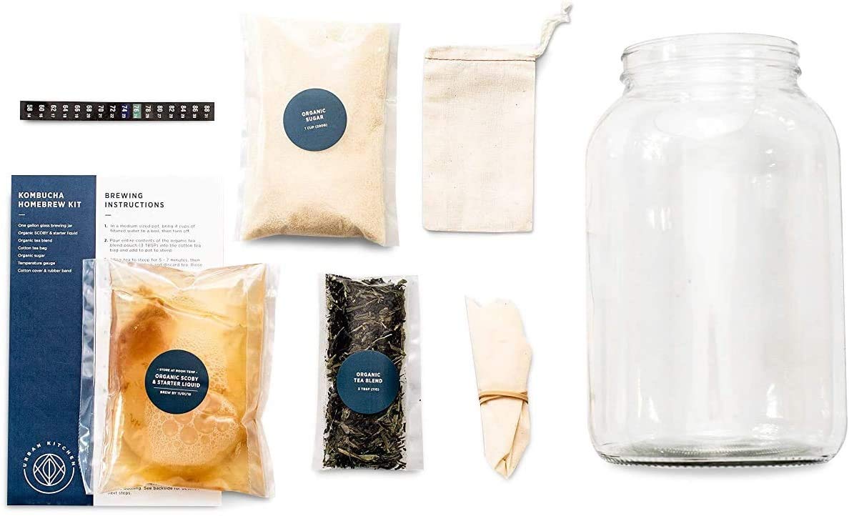 Kombucha Starter Kit - Organic Kombucha SCOBY & Strong Starter Liquid. Make Delicious Kombucha at Home with our USA Made 1 Gallo
