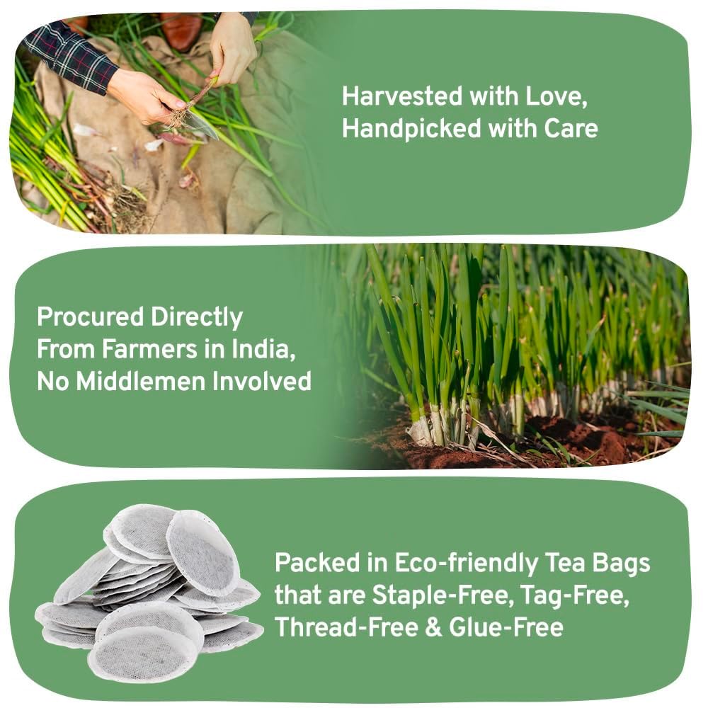 HANDPICK Lemongrass Herbal Tea Bags - Non-GMO, Caffeine-Free, 100 Count