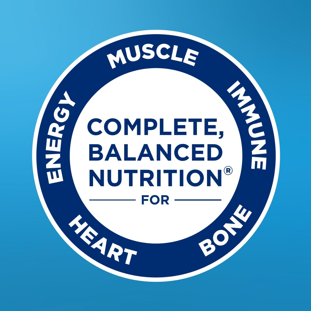 Ensure Original Milk Chocolate Nutrition Shake | Small Meal Replacement Shake | Ready To Drink | 9g Protein, 27 Vitamins and Min