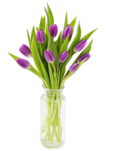 KaBloom Flowers -Valentine's Day Collection - 10 Purple Tulips with vase, Gift for Birthday, Sympathy, Anniversary, Get Well, Th