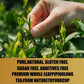 Pipi Tea Pipi Oolong Tea  Promote Digestion and Metabolism  Cortisol & Calming Tea for Stress Relief  Vegan  Non-GMO (20 bags* 4g) (2)
