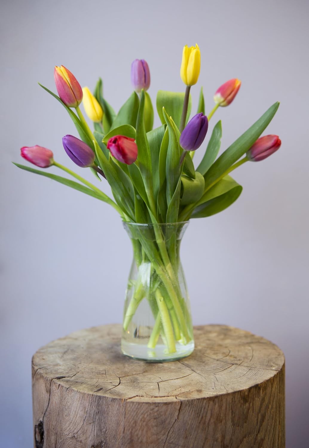 Kabloom Flowers -Valentine'S Day Collection - 10 Assorted Tulips With Vase, Gift For Birthday, Sympathy, Anniversary, Get Well,