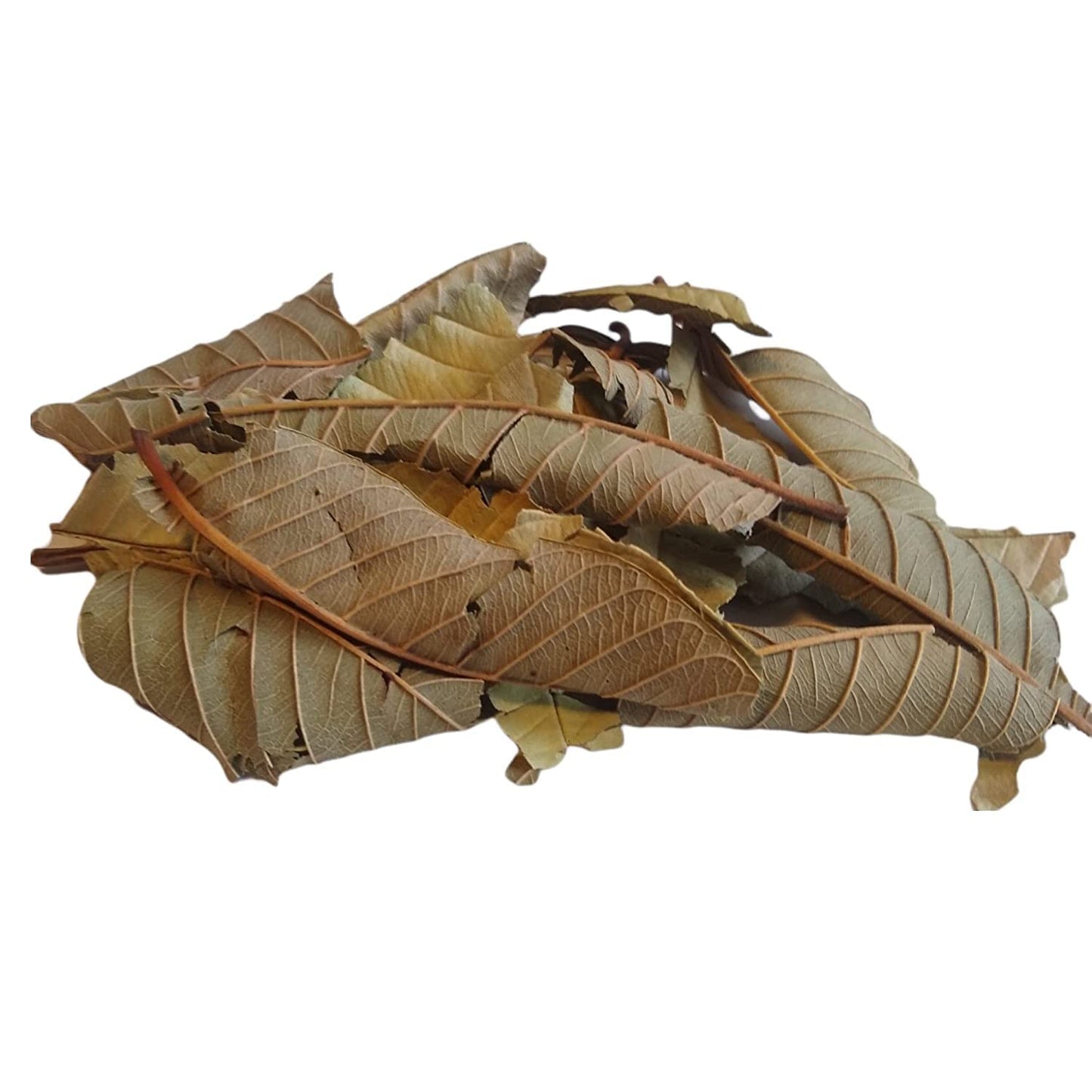 Yerbero - Whole Guava Leaf 2Oz (56Gr) Herbal Tea (Te Hojas De Guayaba) | Crafted By Nature100% All Natural Fresh Tea Tea | Non-G