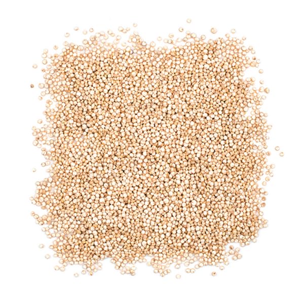 Roland Foods White Quinoa, Pre-washed, Specialty Imported Food, 12-Ounce
