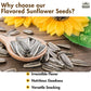 Bricktown Goods Bloody Mary Flavored Sunflower Seeds - 3 Pack - Boldly Seasoned And Roasted In-Shell Sunflower Seeds - 24 Oz Total
