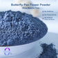 Fraunitsh Butterfly Pea Flower Powder | Blue Matcha Powder | 5oz | Natural for Baking, Smoothies, Drinks, Lattes & Cocktails