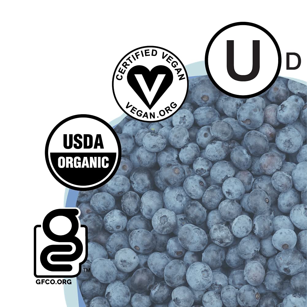 Skout Organic Blueberry Blast Kids Snack Bars - Plant-Based, Vegan, Gluten-Free, 36 Count