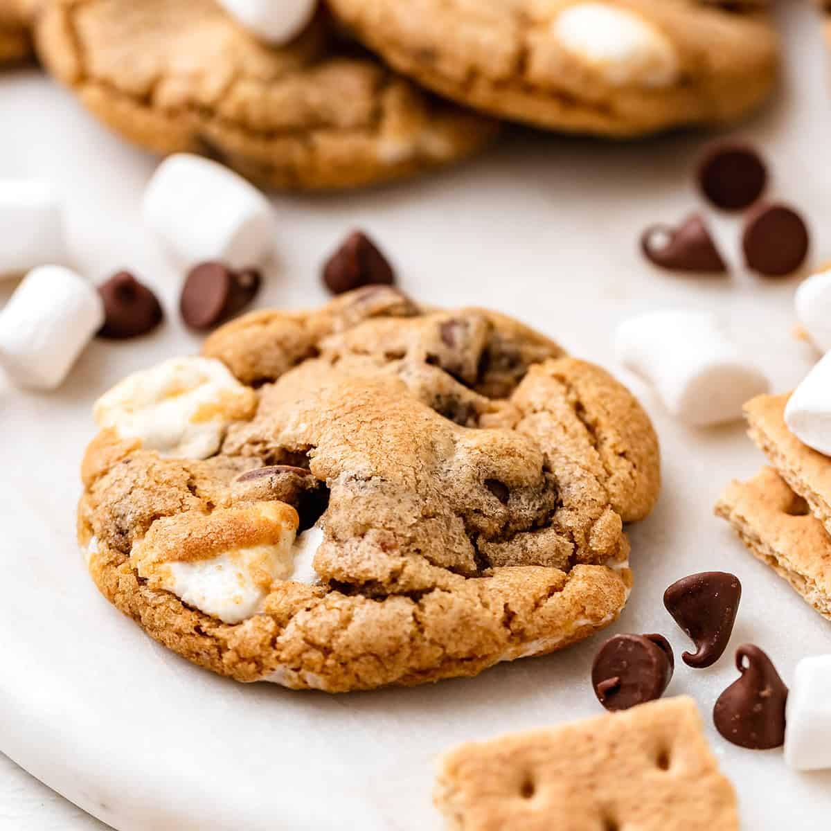 S’Mores Chocolate Chip Cookies- Chunky Soft-Baked Gourmet Cookies With Marshmallow & Chocolate, Egg-Free & Vegetarian, Holiday Dessert & Gift  , 9 Oz
