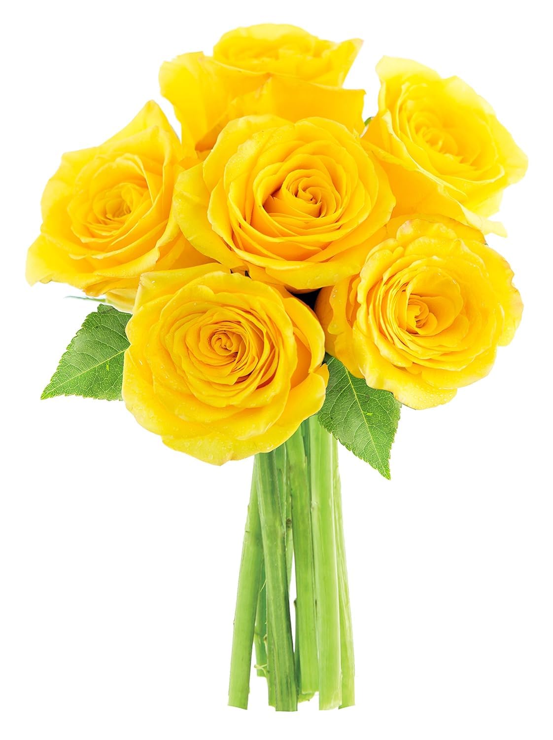 KaBloom Flowers - Valentine Collection - Yellow Sunshine Bouquet of 6 Fresh Cut Yellow Roses Without Vase - Gift for Birthday, Valentine, Mother’s Day Fresh Flowers