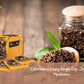 Tea4U Flavored Black Teabags - Original Ceylon Tea (Clove)
