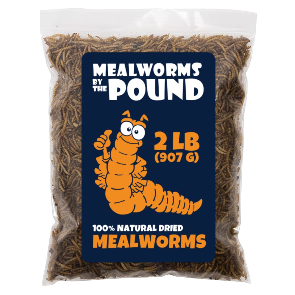 Mbtp Bulk Dried Mealworms - Treats For Chickens & Wild Birds (2 Lbs)