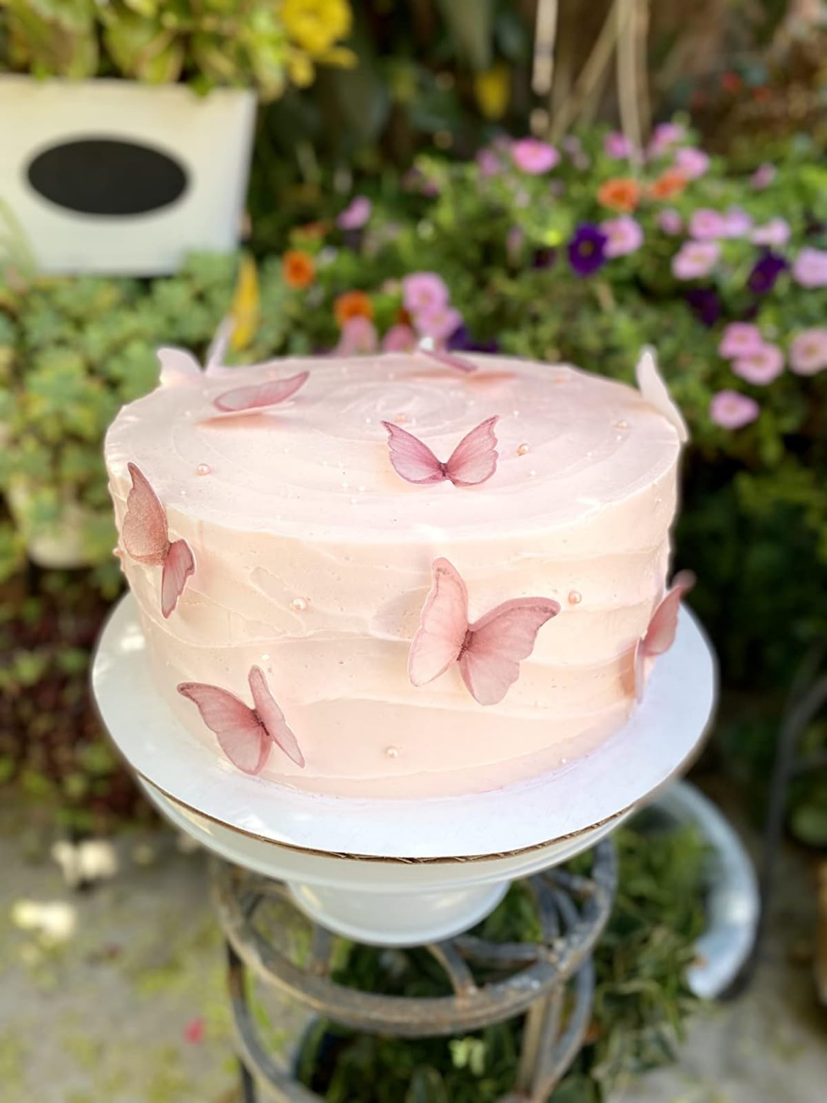 SS Cohen Edible Wafer Paper Butterflies Cake Decorations, 48 Pcs, Pink, Model SS029