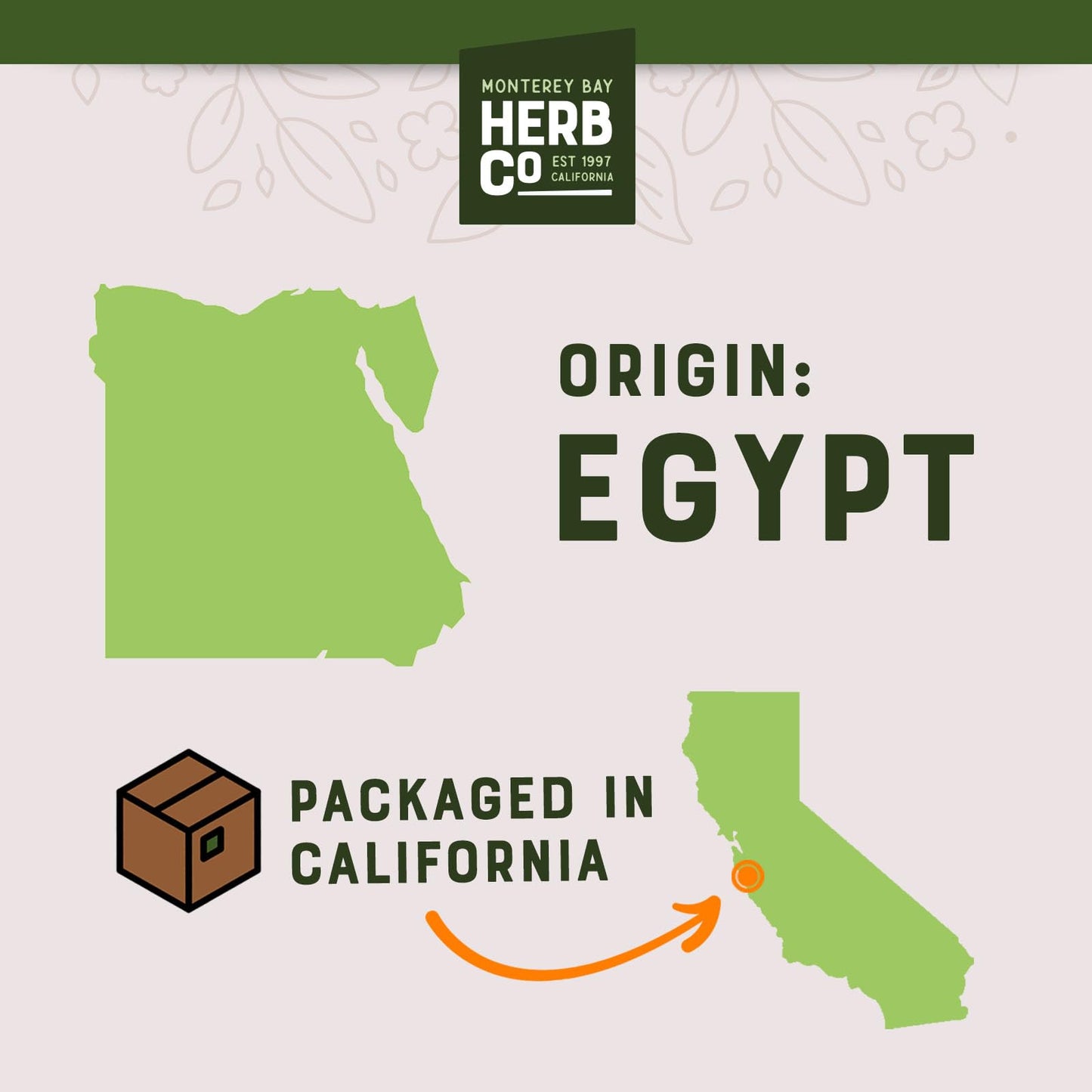 MONTEREY BAY HERB CO. Egyptian Peppermint Tea, Cut & Sifted, 1/4 LB