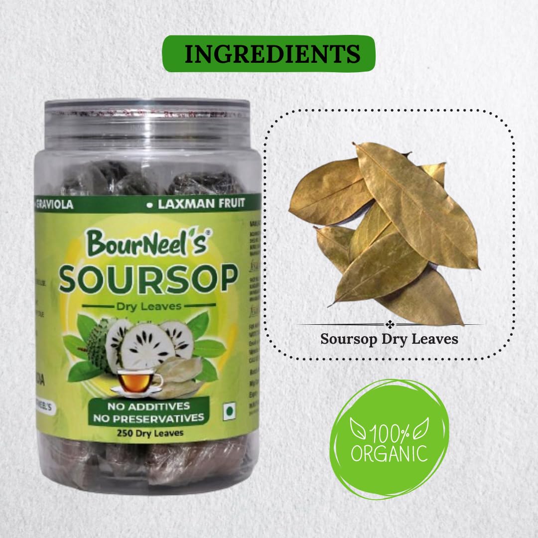 Bourneel'S Soursop Dry Leaves, 250 Loose Leaves | No Preservatives | Healthy Graviola Laxman Phal Dry Leaves | High Vitamin C |S